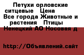 Петухи орловские ситцевые › Цена ­ 1 000 - Все города Животные и растения » Птицы   . Ненецкий АО,Носовая д.